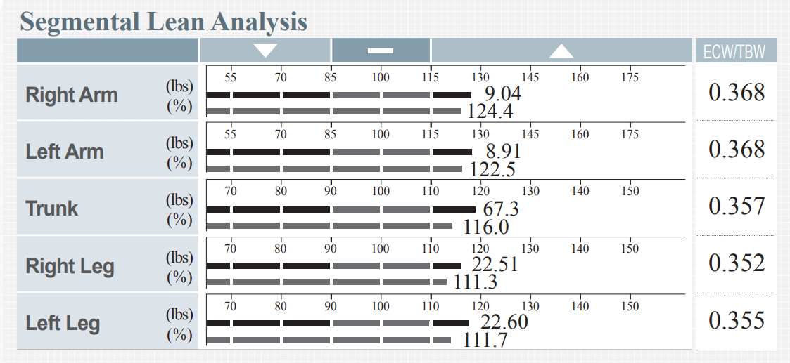 Segmental Lean